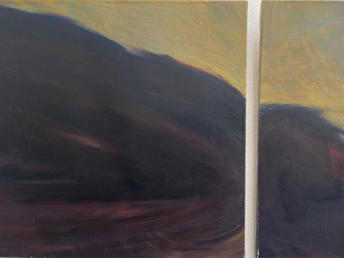 De Mystieke Berg - Florentine Peeters