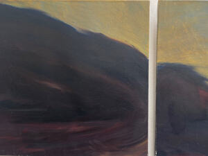 De Mystieke Berg Florentine Peeters