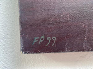 De Mystieke Berg - Florentine Peeters