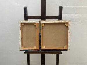 De Mystieke Berg - Florentine Peeters